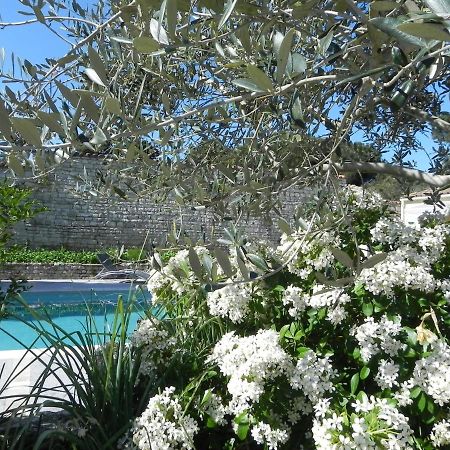 Villa Del Re 3 Face A La Piscine Ла-Флотт Екстер'єр фото