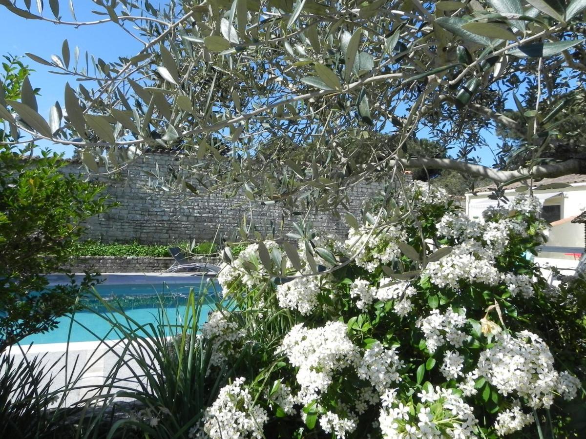 Villa Del Re 3 Face A La Piscine Ла-Флотт Екстер'єр фото